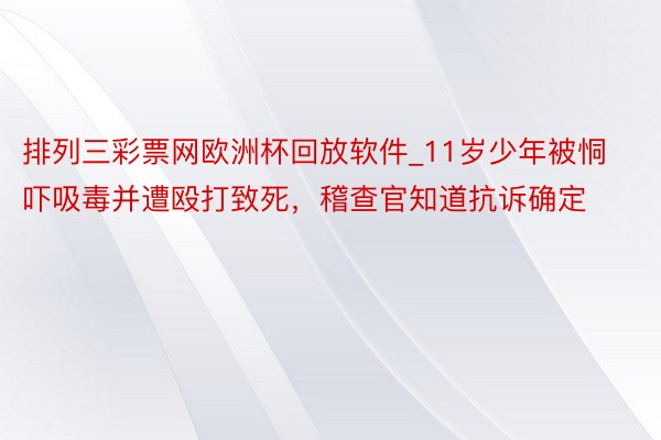 排列三彩票网欧洲杯回放软件_11岁少年被恫吓吸毒并遭殴打致死，稽查官知道抗诉确定